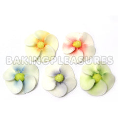 Apple Blossom Cupcake Toppers 10pcs