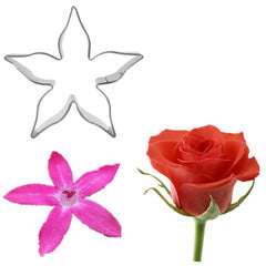 Complete Rose Flower Cutter Set 11pcs
