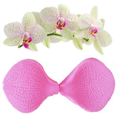 Double Sided Phalaenopsis Petal Veiner