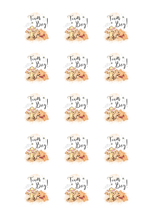 Winnie the Pooh Team Boy 15 edible toppers full sheet uncropped all boy designs