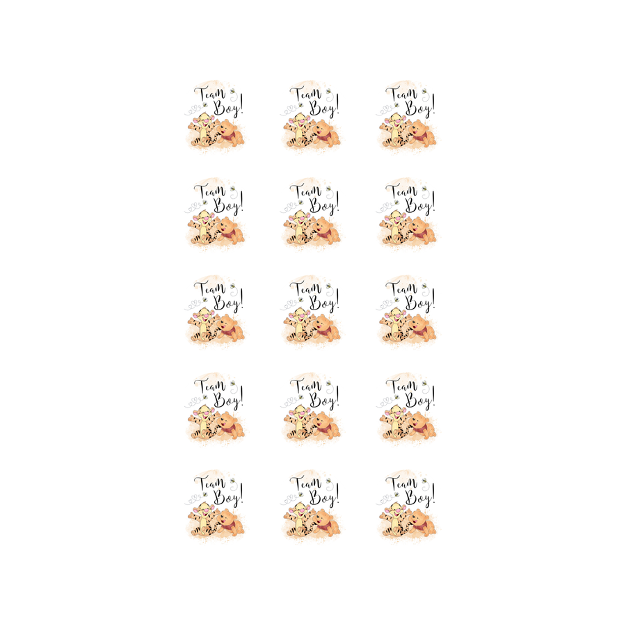 Winnie the Pooh Team Boy 15 edible toppers full sheet uncropped all boy designs
