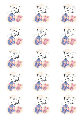 Team Girl Baby Shower 15 edible cupcake cookie toppers A4 print sheet