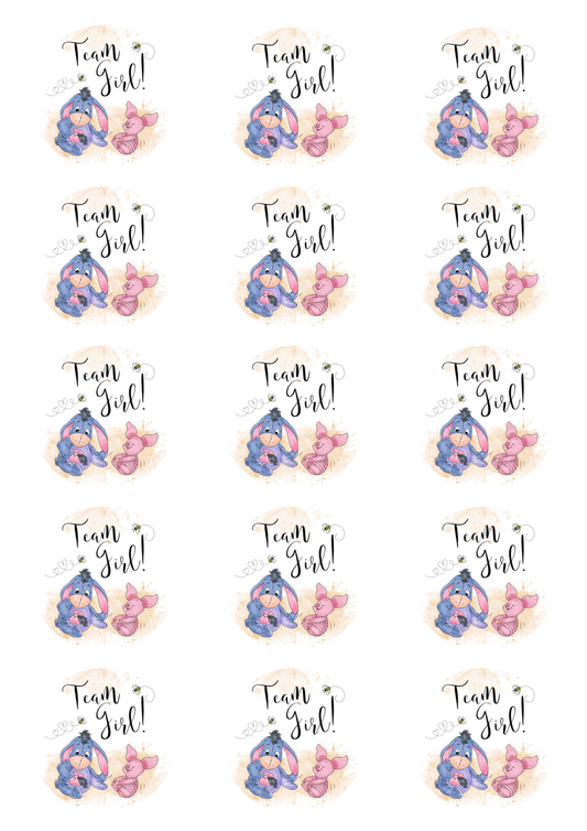 Team Girl Baby Shower 15 edible toppers full sheet uncropped all designs visible
