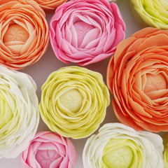 FMM Easiest Ranunculus Ever Cutters