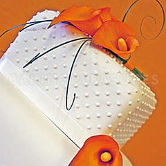 FMM Press Ice Polka 1