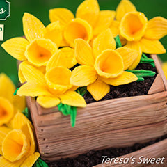 Katy Sue Daffodils Silicone Mould