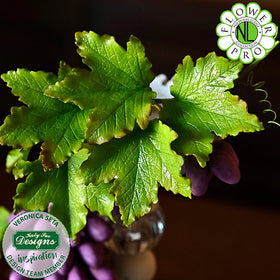 Katy Sue Flower Pro Maple, Ivy and Ginkgo Leaves Silicone Mould and Veiner