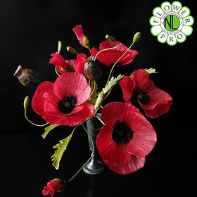 Katy Sue Flower Pro Poppy Silicone Mould and Veiner