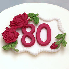Katy Sue Large Numbers Silicone Mould