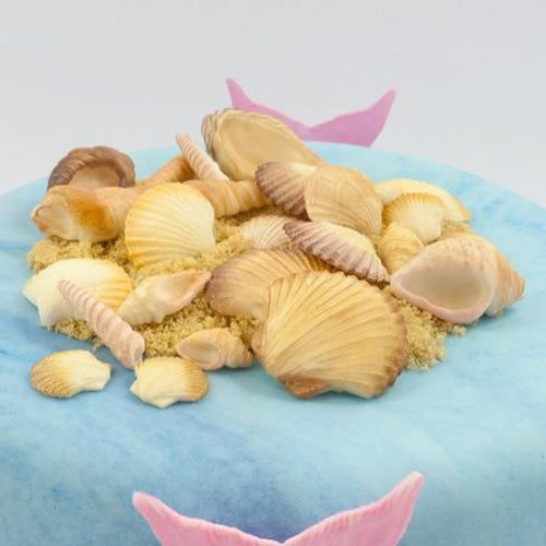 Katy Sue Seashells Silicone Mould