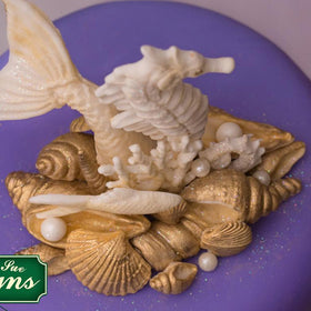 Katy Sue Seashells Silicone Mould