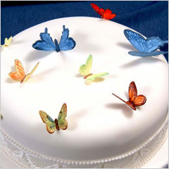 Patchwork Cutters Butterflies, Ladybirds, Bees
