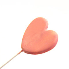 Plain & Simple Pink Candy Edible Rainbow Dust