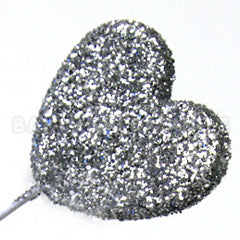 Jewel Silver Rainbow Dust (non toxic)
