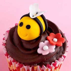 Renshaw Extra Yellow Icing Fondant 250g