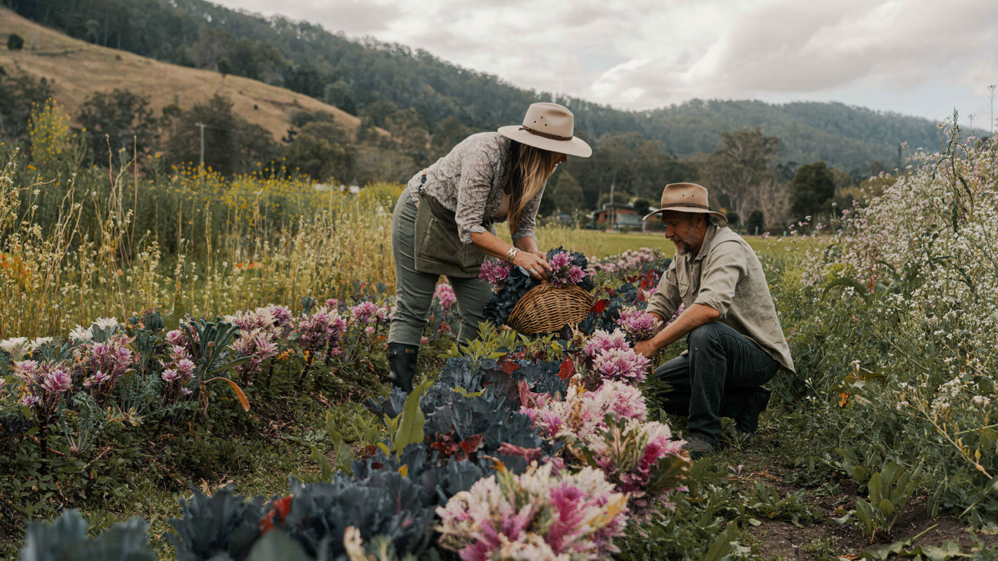 Dried Edible Pressed Flower A5 Card - Cookie Cupcake Mix