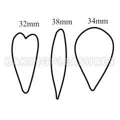 South African Iris Flower Cutter 3pcs 